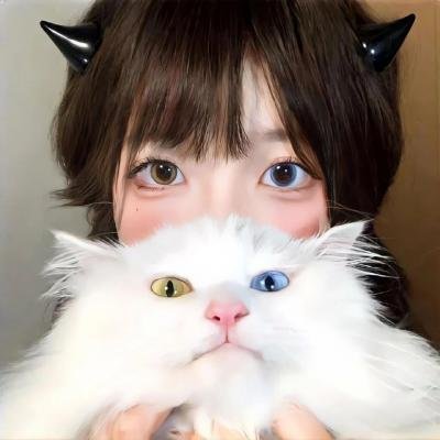 新片更新